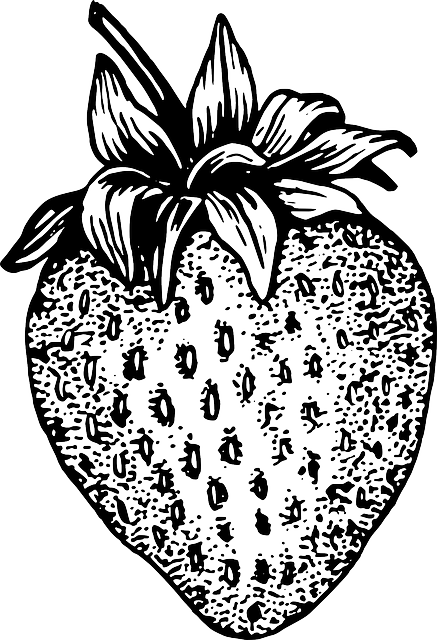 Ink-style drawing of a strawberry.